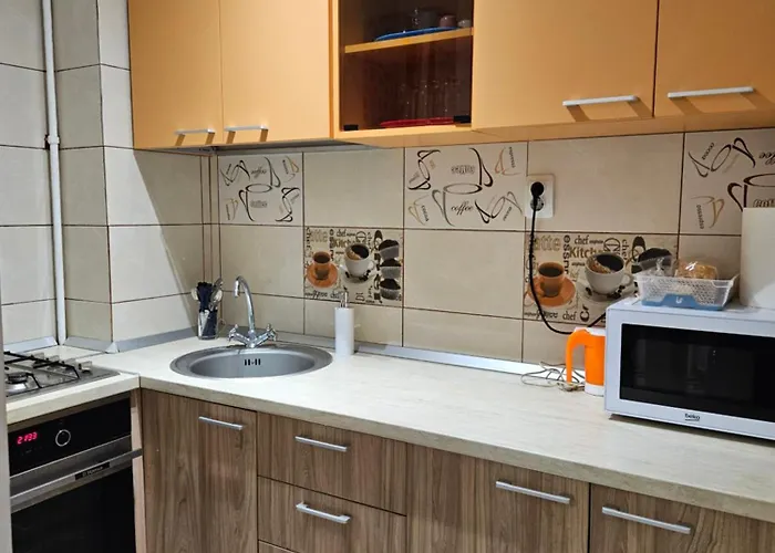 Cozy Studio Coresi