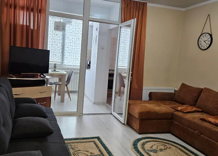 Cozy Studio Coresi